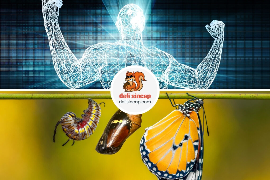 Dönüşümcü Liderlik (Transformational Leadership)