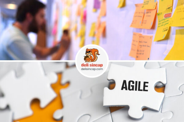 Çevik Yönetim (Agile Management)
