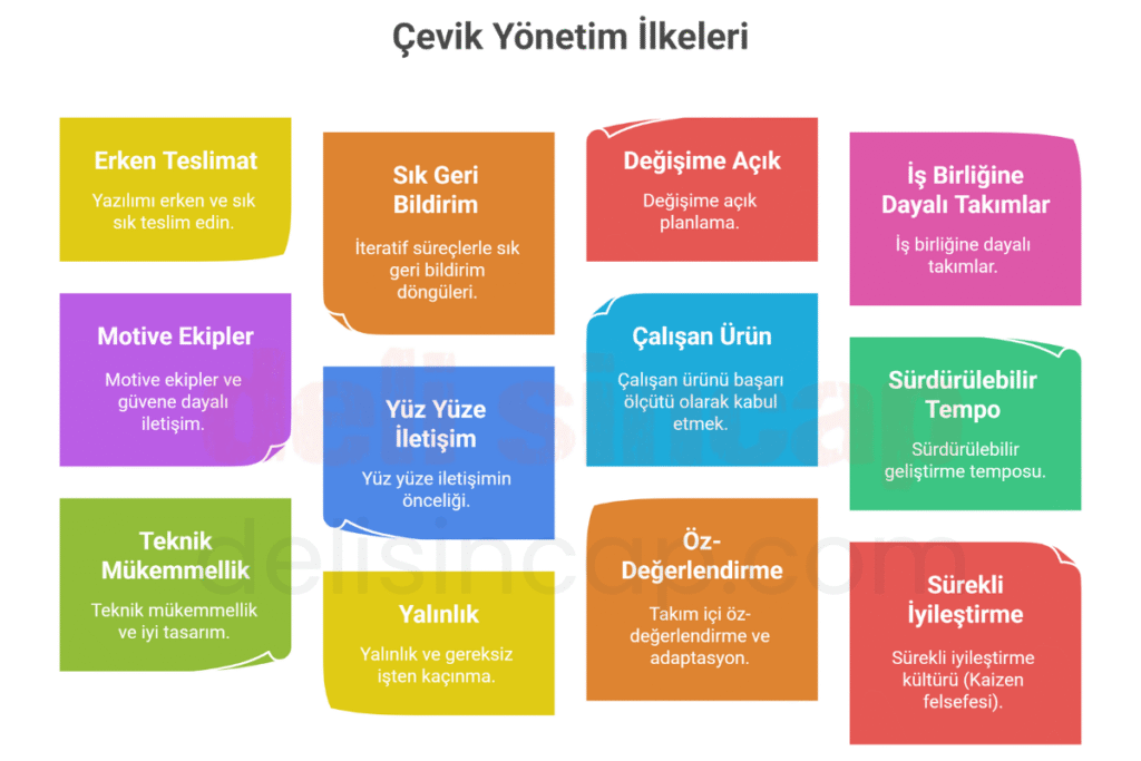 Çevik yönetim ilkeleri