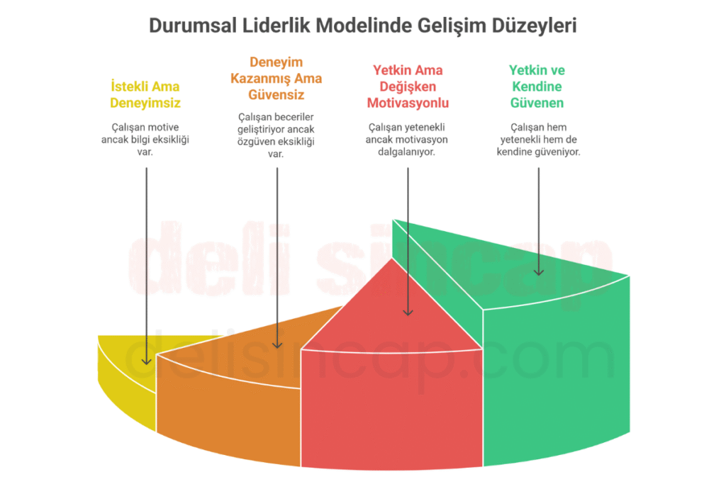 durumsal liderlikte gelişim düzeyleri