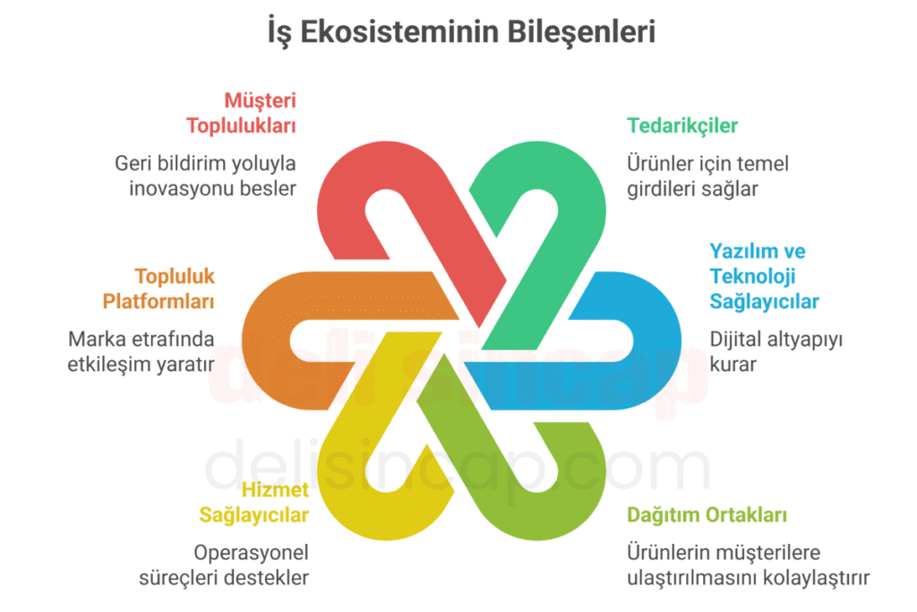 ekosistem stratejisinin bileşenleri