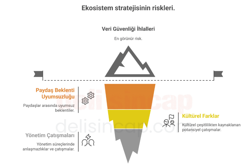 Ekosistem stratejisinin başlıca riskleri nelerdir?