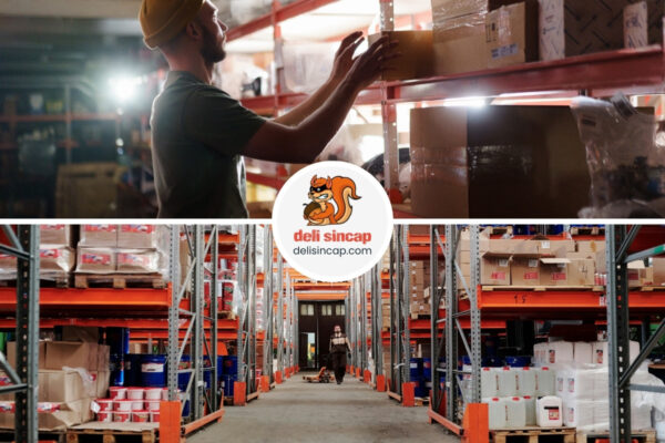 Fulfillment Hizmetleri (3PL Depolama ve Dağıtım)