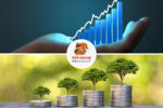 Organik Büyüme Stratejisi (Organic Growth)