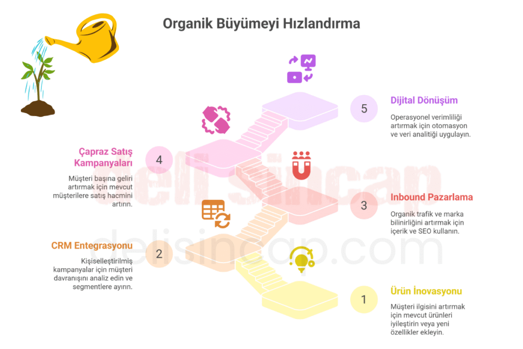 organik büyüme nasıl yapılır?